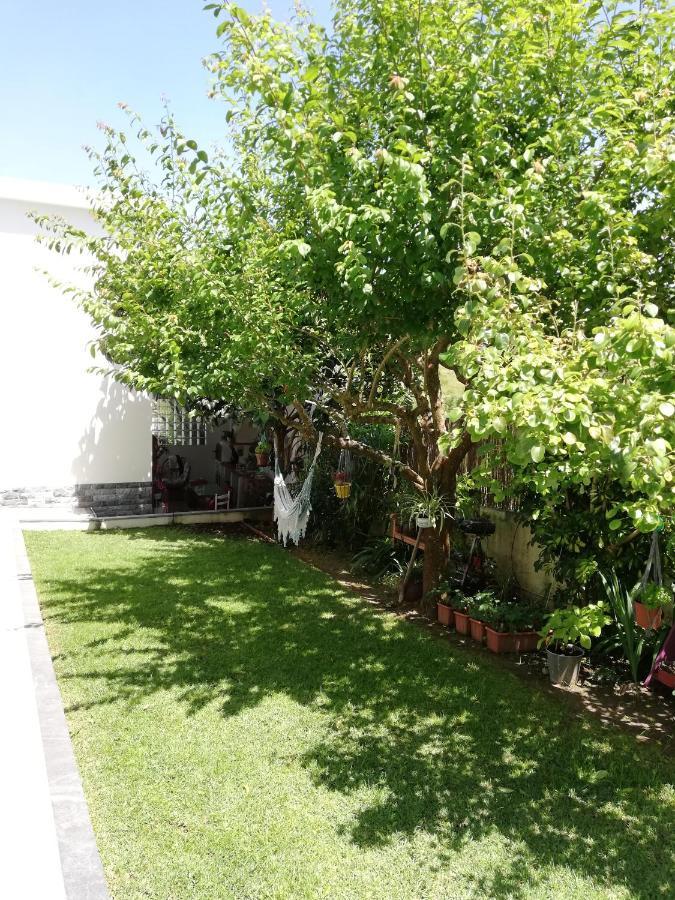 Moradia No Seixal Ericeira Hotel Ngoại thất bức ảnh